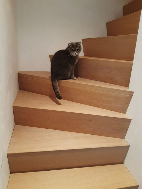 Nieuwe trap nodig? Voorbeeldfoto van Z-vorm trap